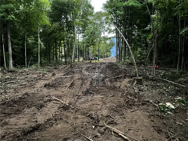 $338,000 | 0 Mcnamar Road, Holley, NY 14470