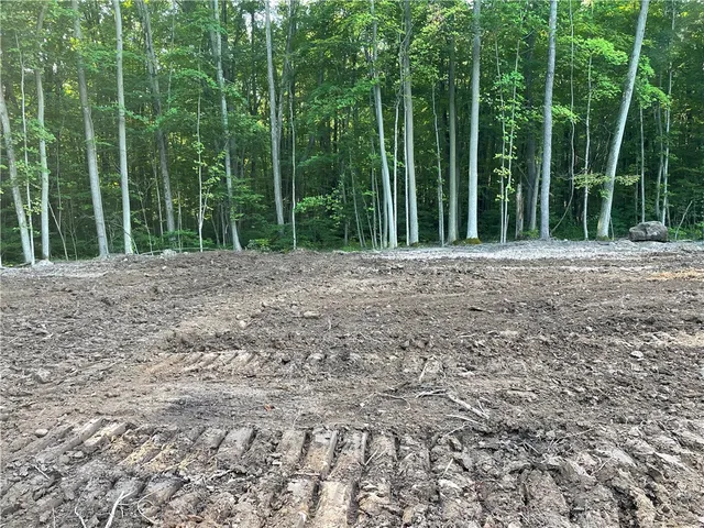 $338,000 | 0 Mcnamar Road, Holley, NY 14470