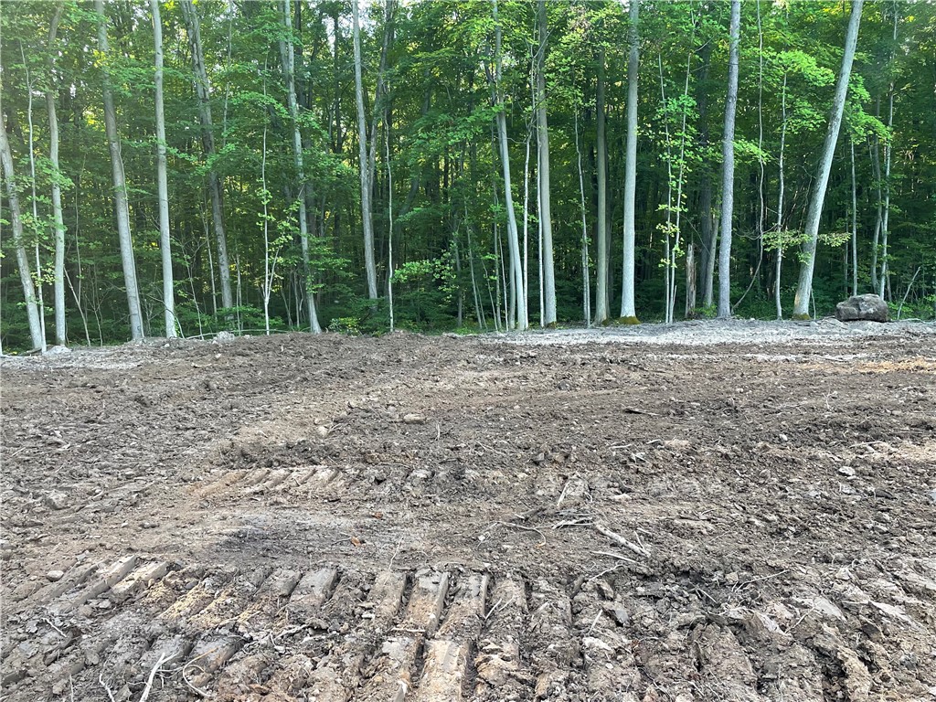 0 Mcnamar Road Holley, NY 14470 - Photo 2 of 15