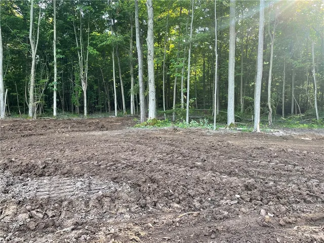 $338,000 | 0 Mcnamar Road, Holley, NY 14470