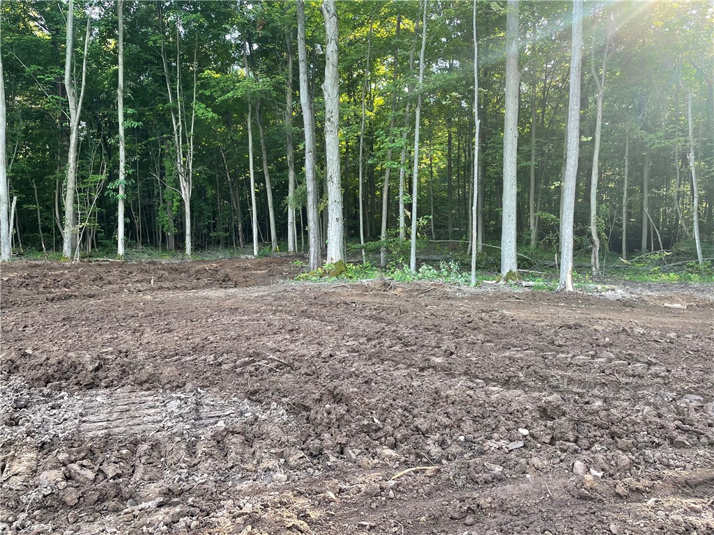 0 Mcnamar Road Holley, NY 14470 - Photo 3 of 15