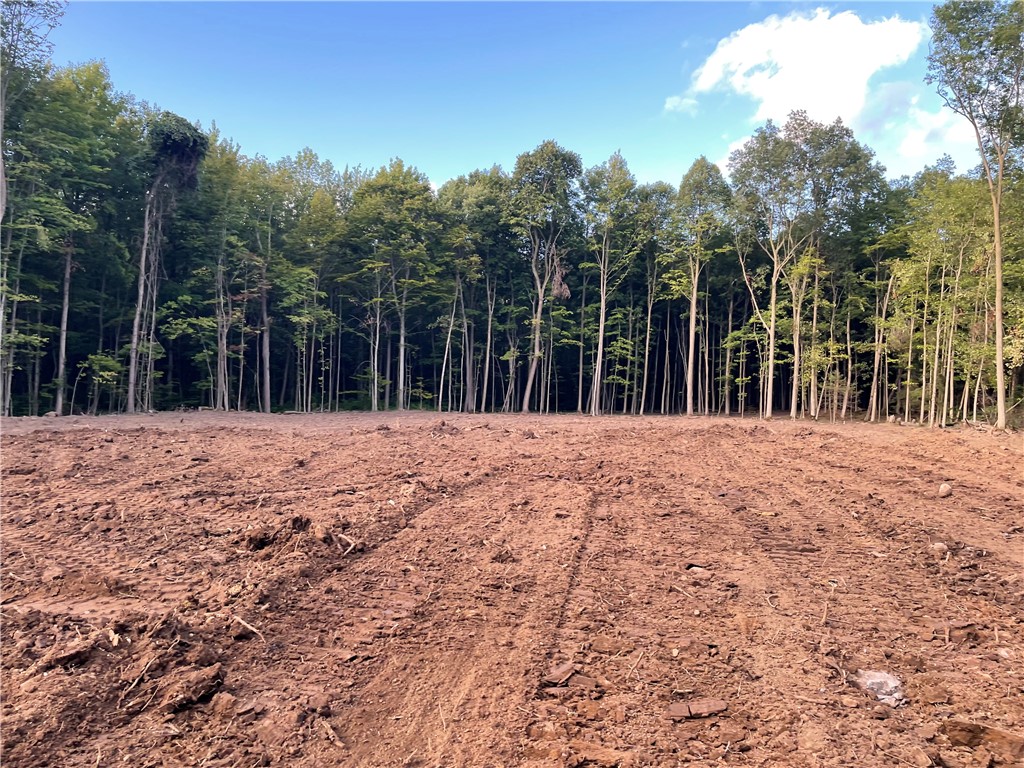 0 Mcnamar Road Holley, NY 14470 - Photo 4 of 15