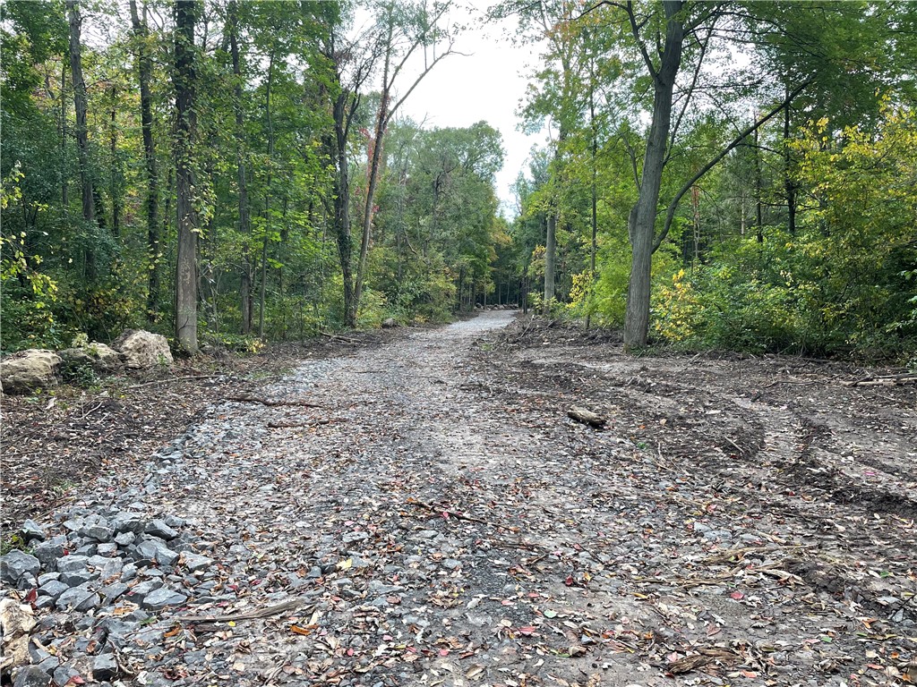 0 Mcnamar Road Holley, NY 14470 - Photo 6 of 15