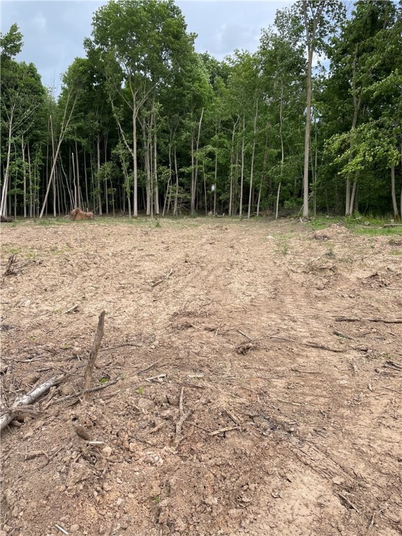 0 Mcnamar Road Holley, NY 14470 - Photo 7 of 15