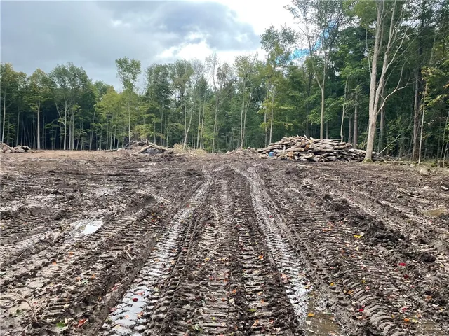 $338,000 | 0 Mcnamar Road, Holley, NY 14470