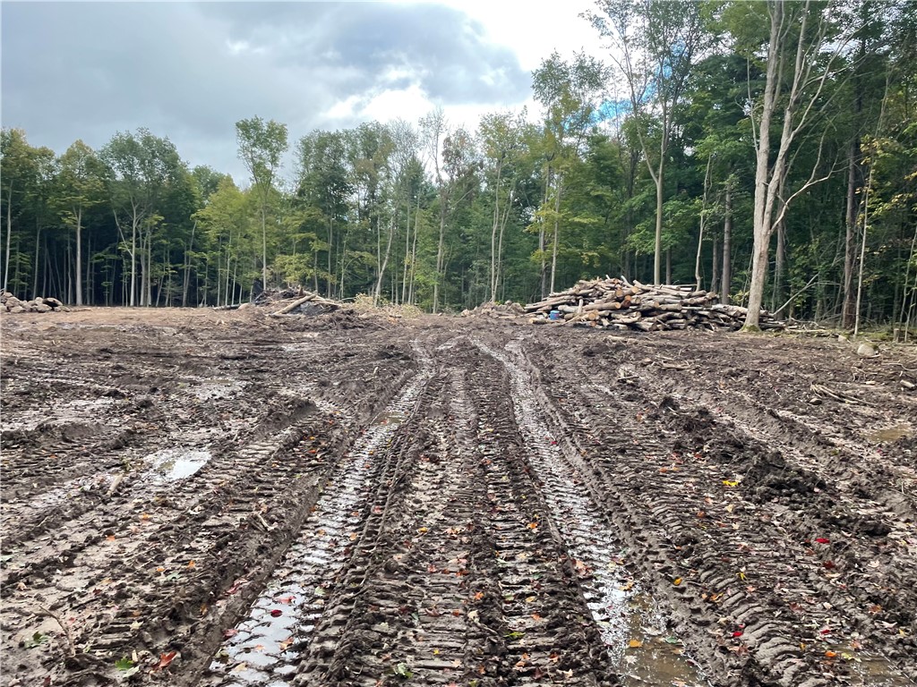 0 Mcnamar Road Holley, NY 14470 - Photo 8 of 15