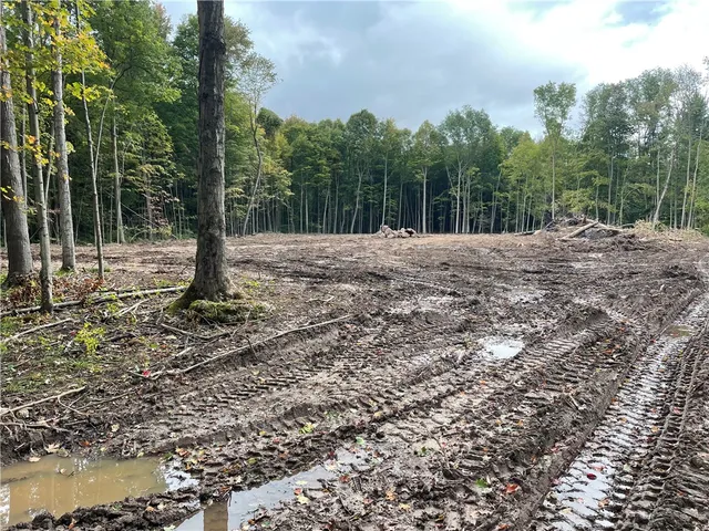 $338,000 | 0 Mcnamar Road, Holley, NY 14470