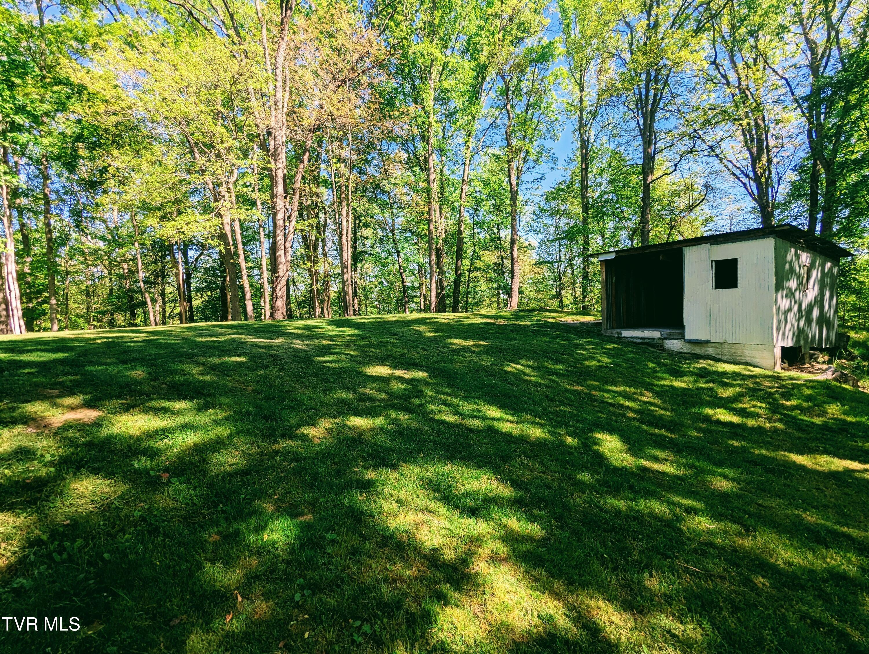 1949 DC Caney Ridge Road Clintwood, VA 24228 - Photo 7 of 30 1000005560