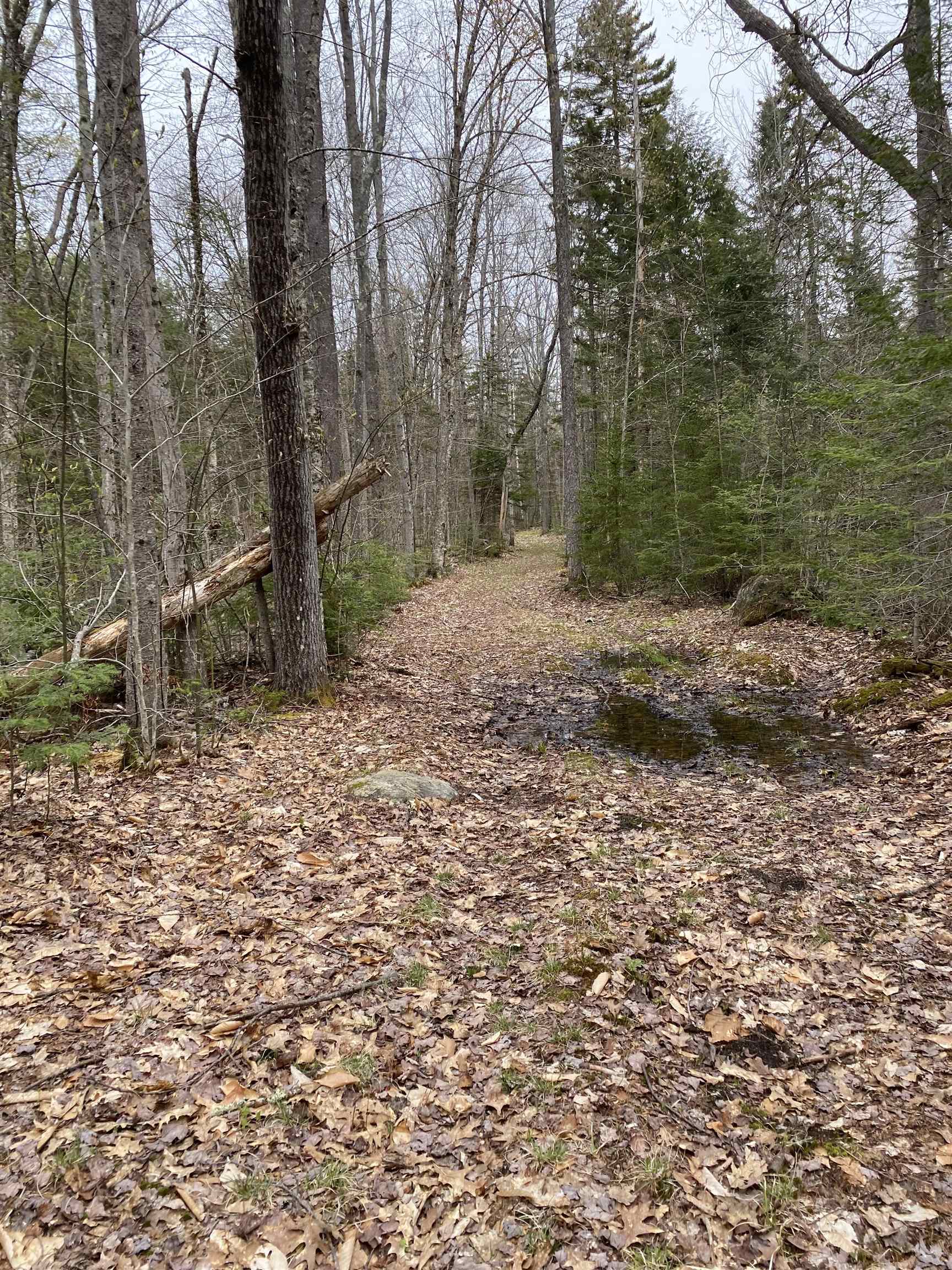 389 Cobble Hill Road Londonderry, VT 05148 - Photo 11 of 22