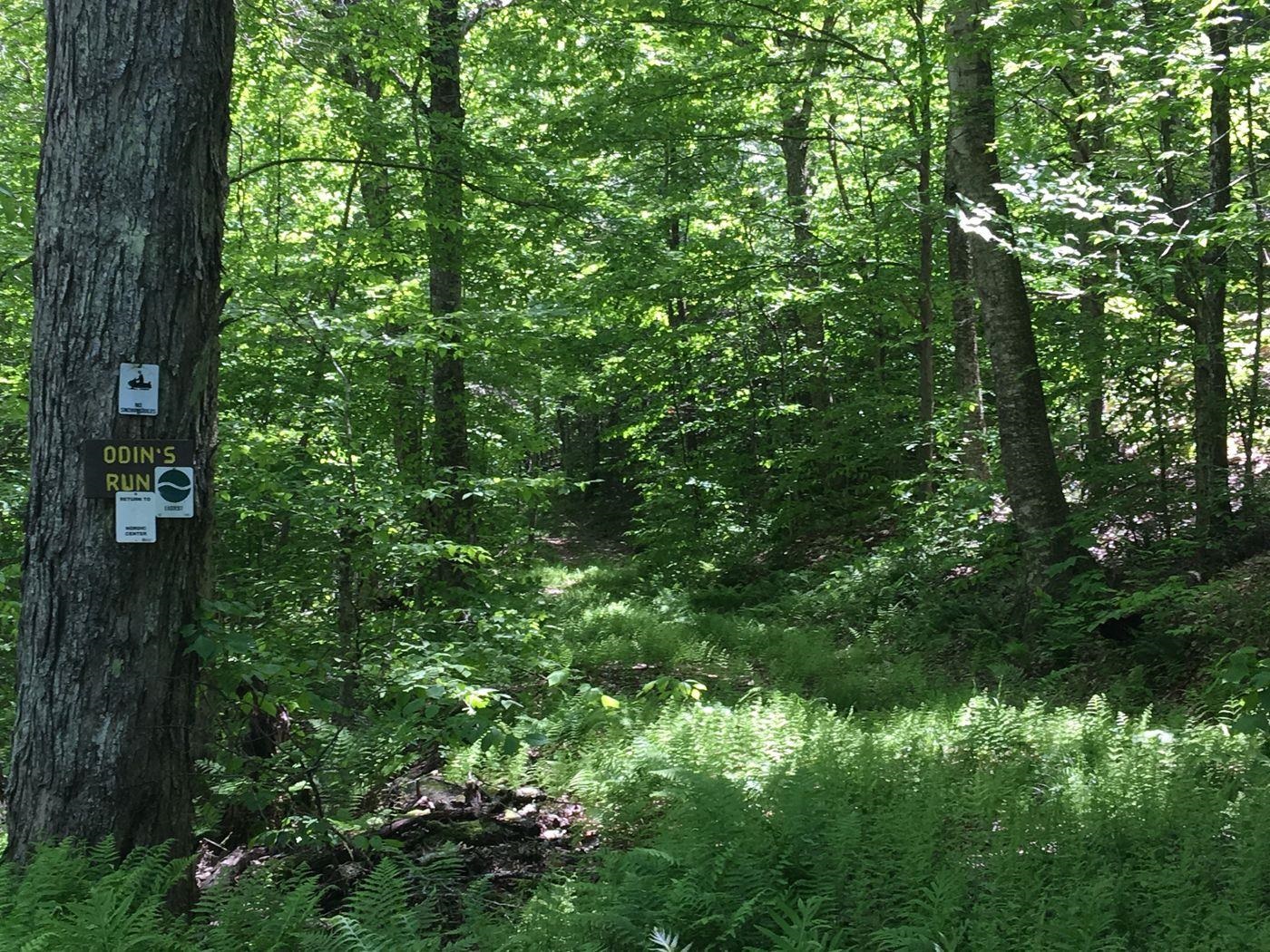 389 Cobble Hill Road Londonderry, VT 05148 - Photo 9 of 22