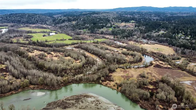 a view of a lake in middle of forest