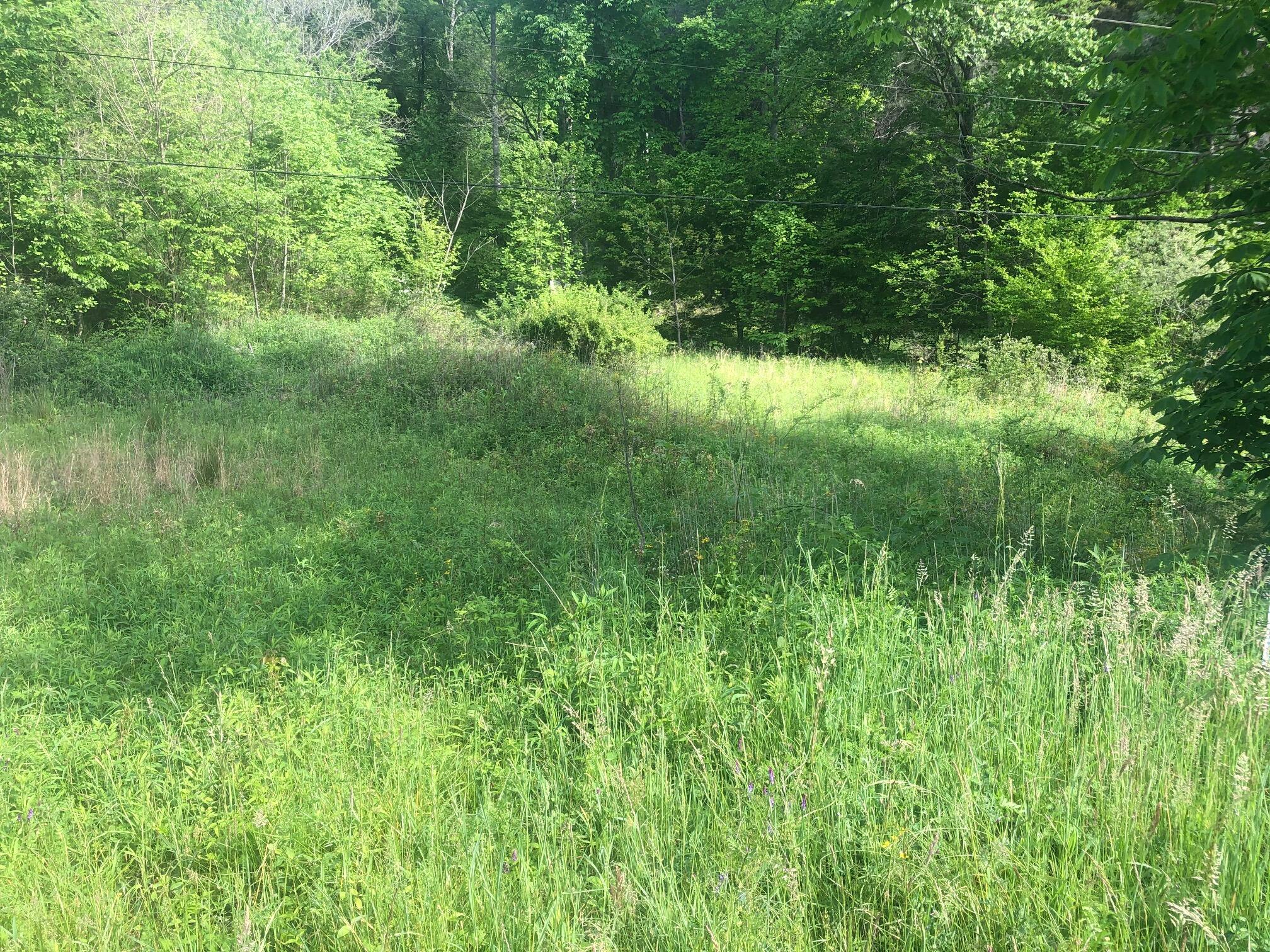 110 Gentry Mountain Road Erwin, TN 37650 - Photo 2 of 6 IMG_5687
