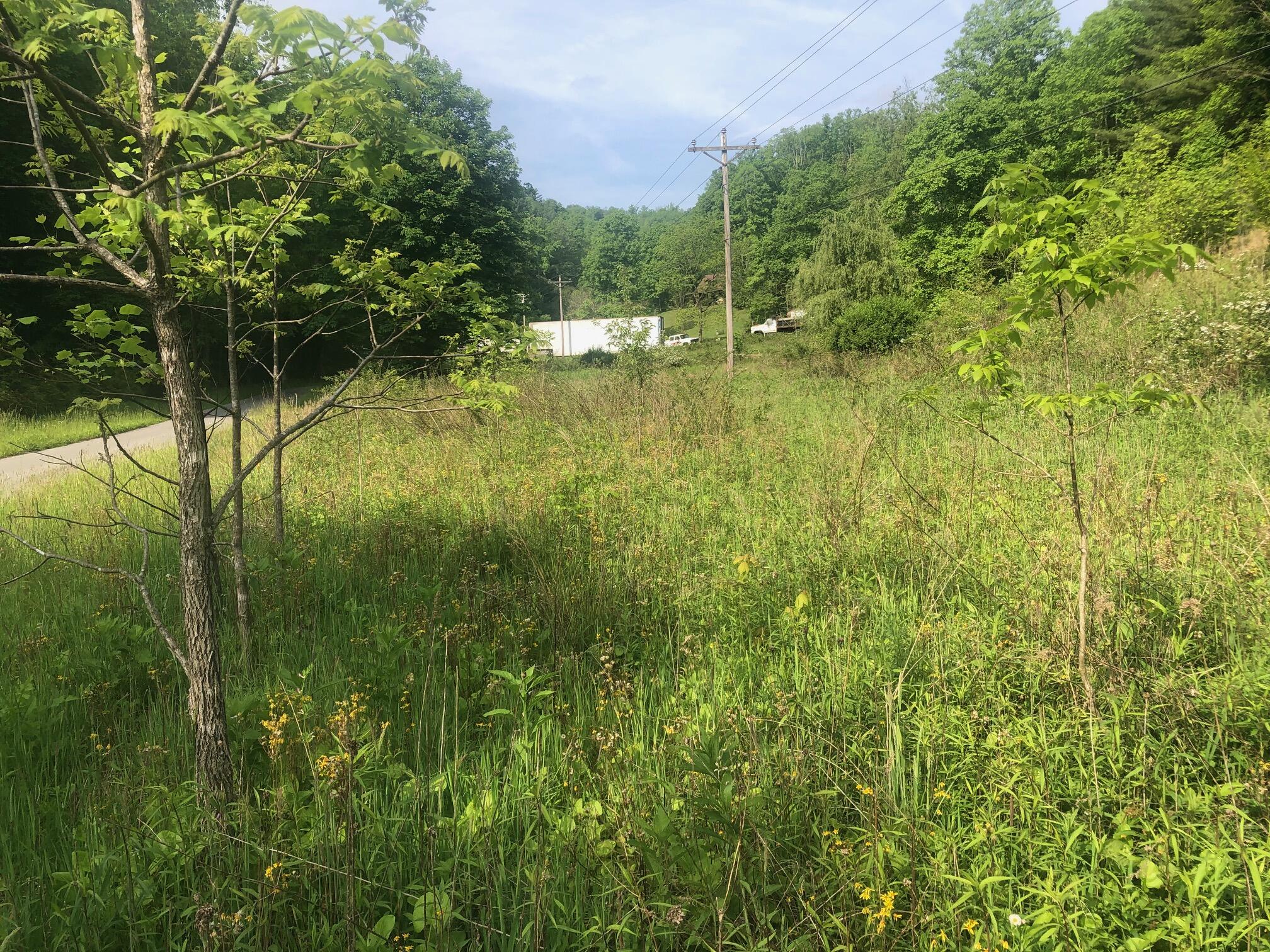 110 Gentry Mountain Road Erwin, TN 37650 - Photo 3 of 6 IMG_5686