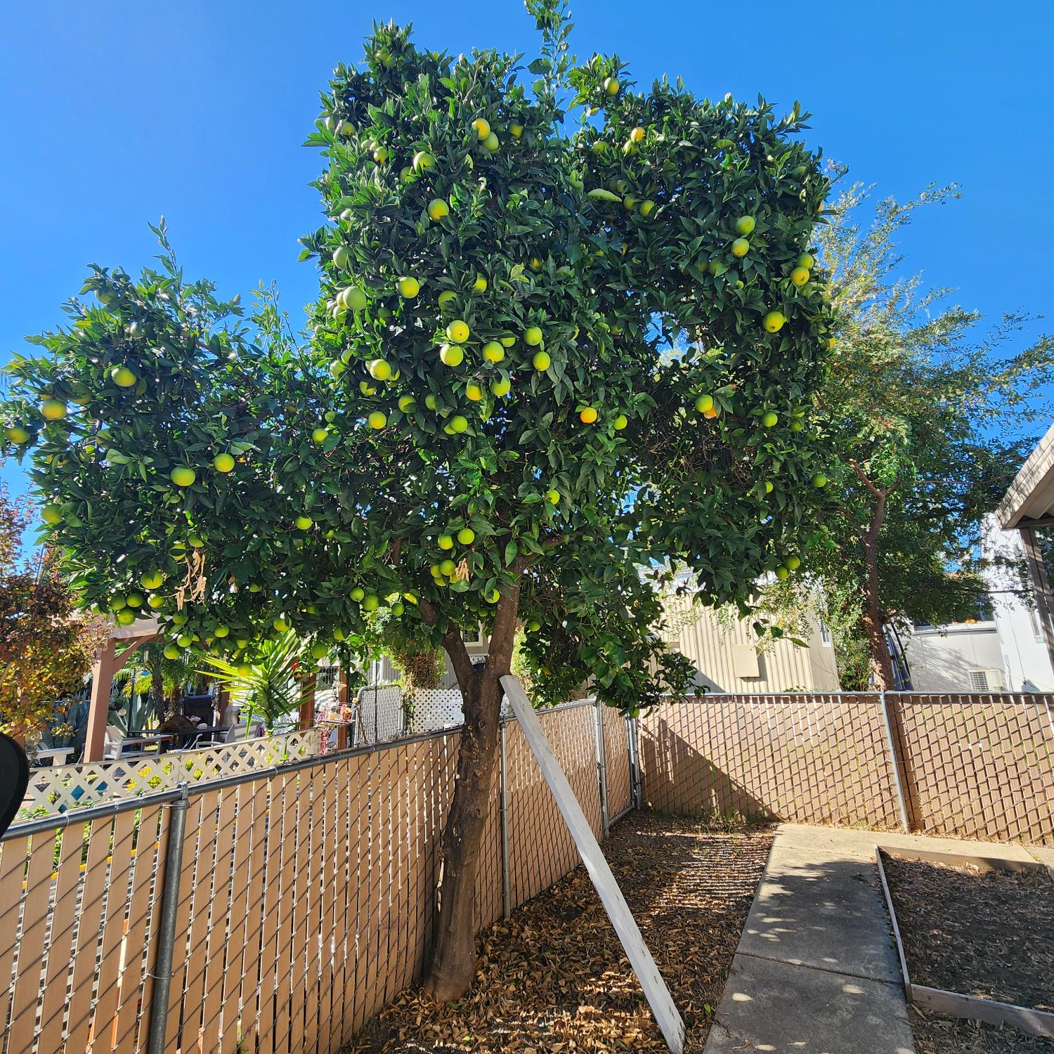 6057 Declaration Circle Citrus Heights, CA 95621 - Photo 21 of 31 a view of balcony with wooden floor and fence