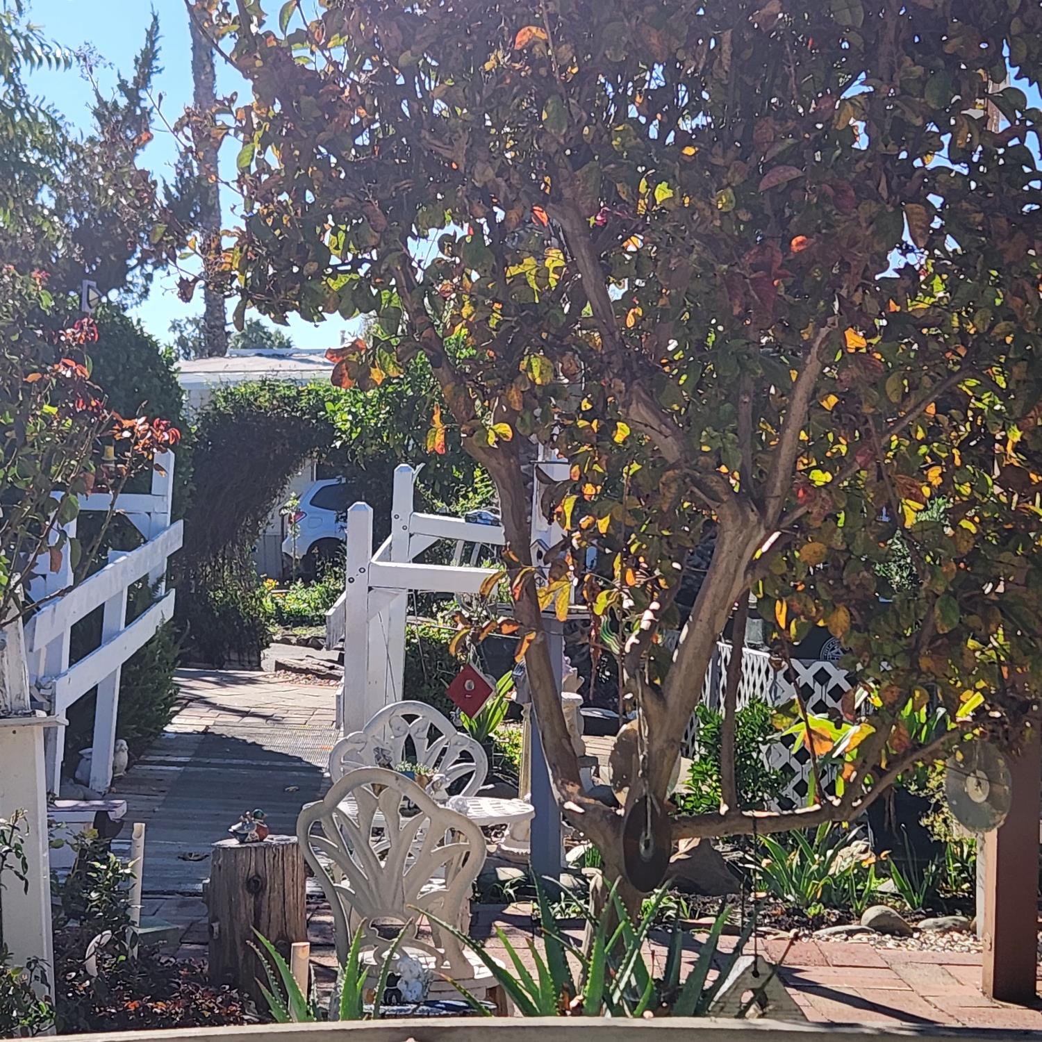 6057 Declaration Circle Citrus Heights, CA 95621 - Photo 26 of 31 a backyard of a house with lots of green space