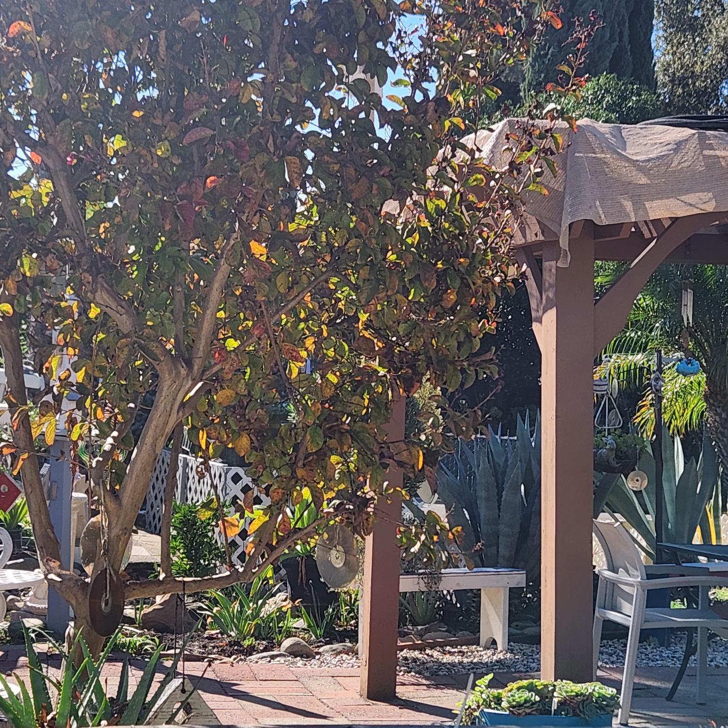 6057 Declaration Circle Citrus Heights, CA 95621 - Photo 27 of 31 a picture of street light