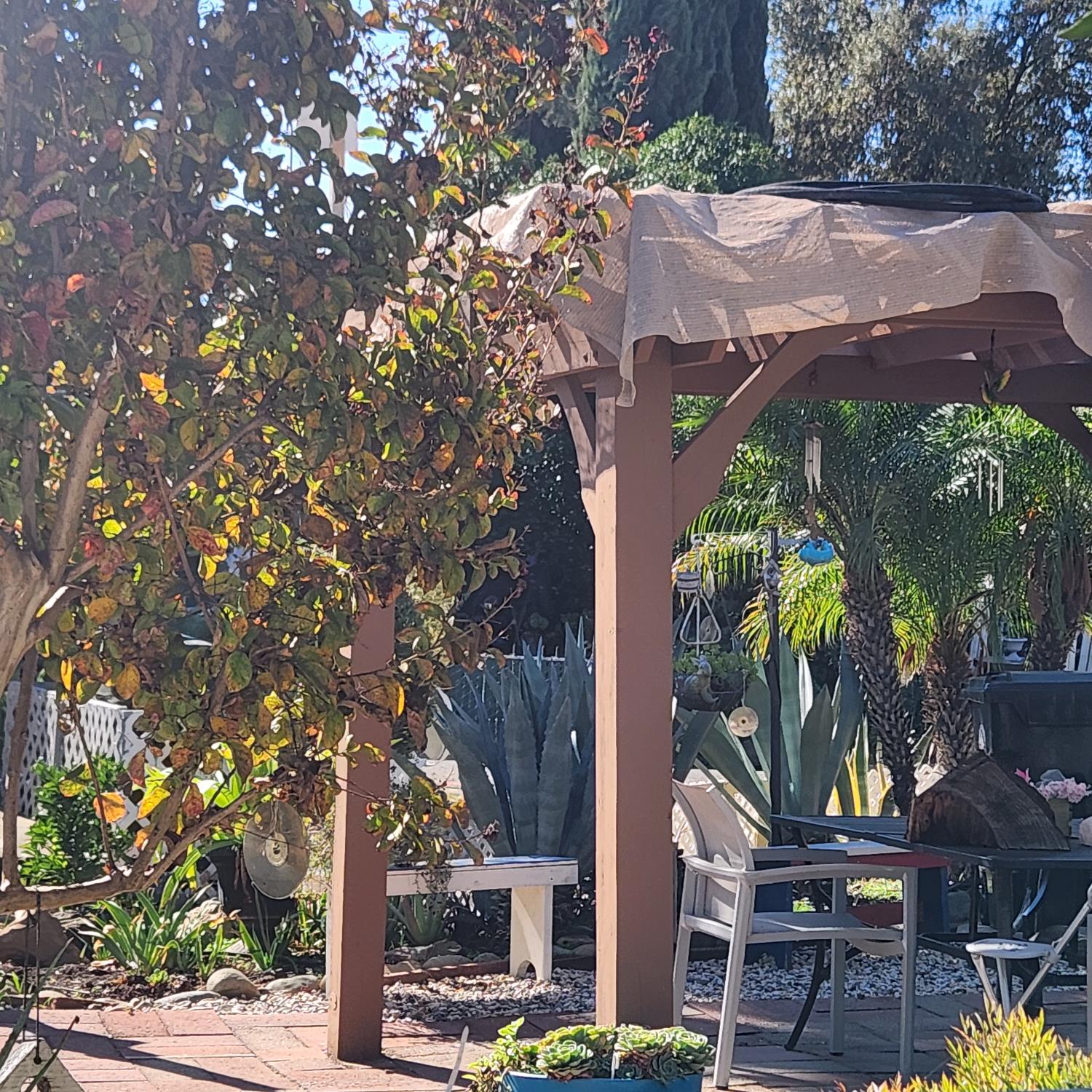 6057 Declaration Circle Citrus Heights, CA 95621 - Photo 28 of 31 a view of a multi story building with a tree