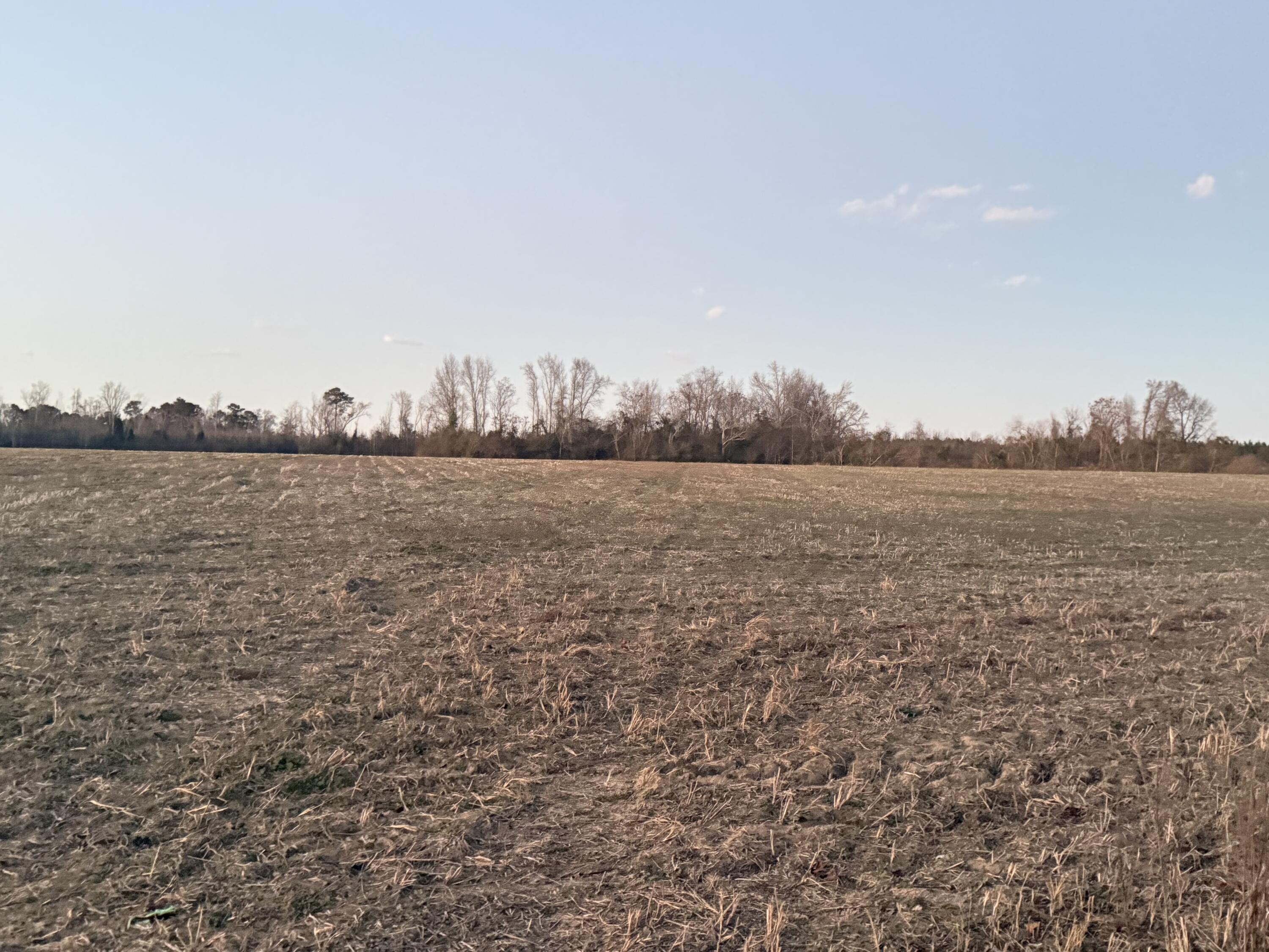 0 Browntown Road, Unit 2420001014 Sumter, SC 29153 - Photo 1 of 5 Gallery Image 1