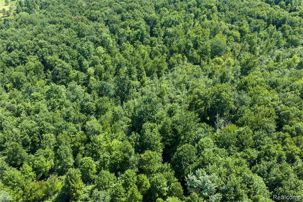 0 Applegate Road Sandusky, MI 48471 - Photo 11 of 15