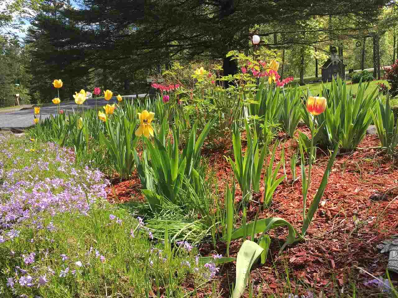 117 Allen Irish Road Westford, VT 05489 - Photo 3 of 36 Gallery Image 3