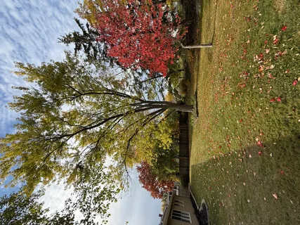 $3,800 | 4150 Williams Court, Hoffman Estates, IL 60192