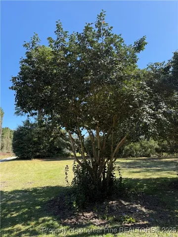a view of a yard with an outdoor space