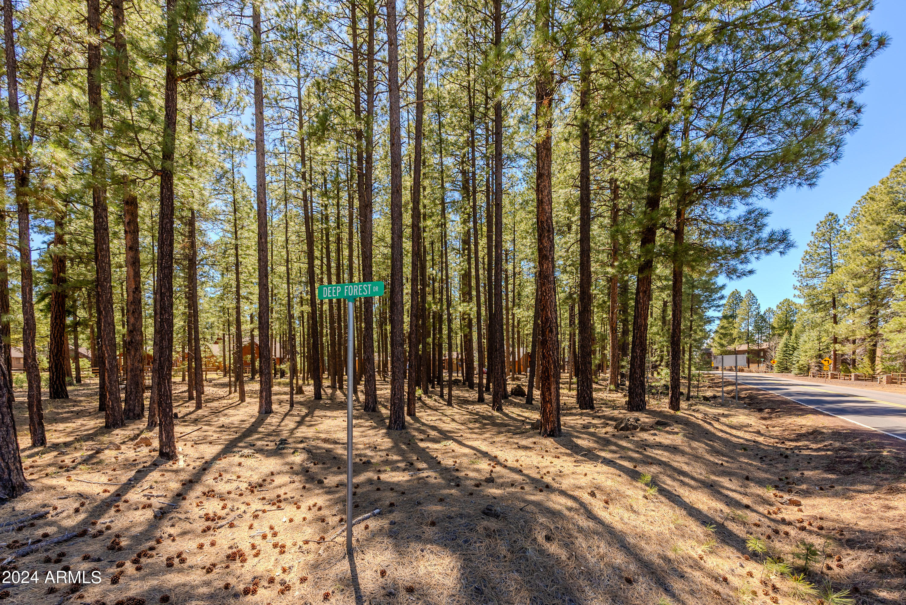 4583 Sky Hi Road Pinetop, AZ 85935 - Photo 30 of 30 4583 Sky Hi-30