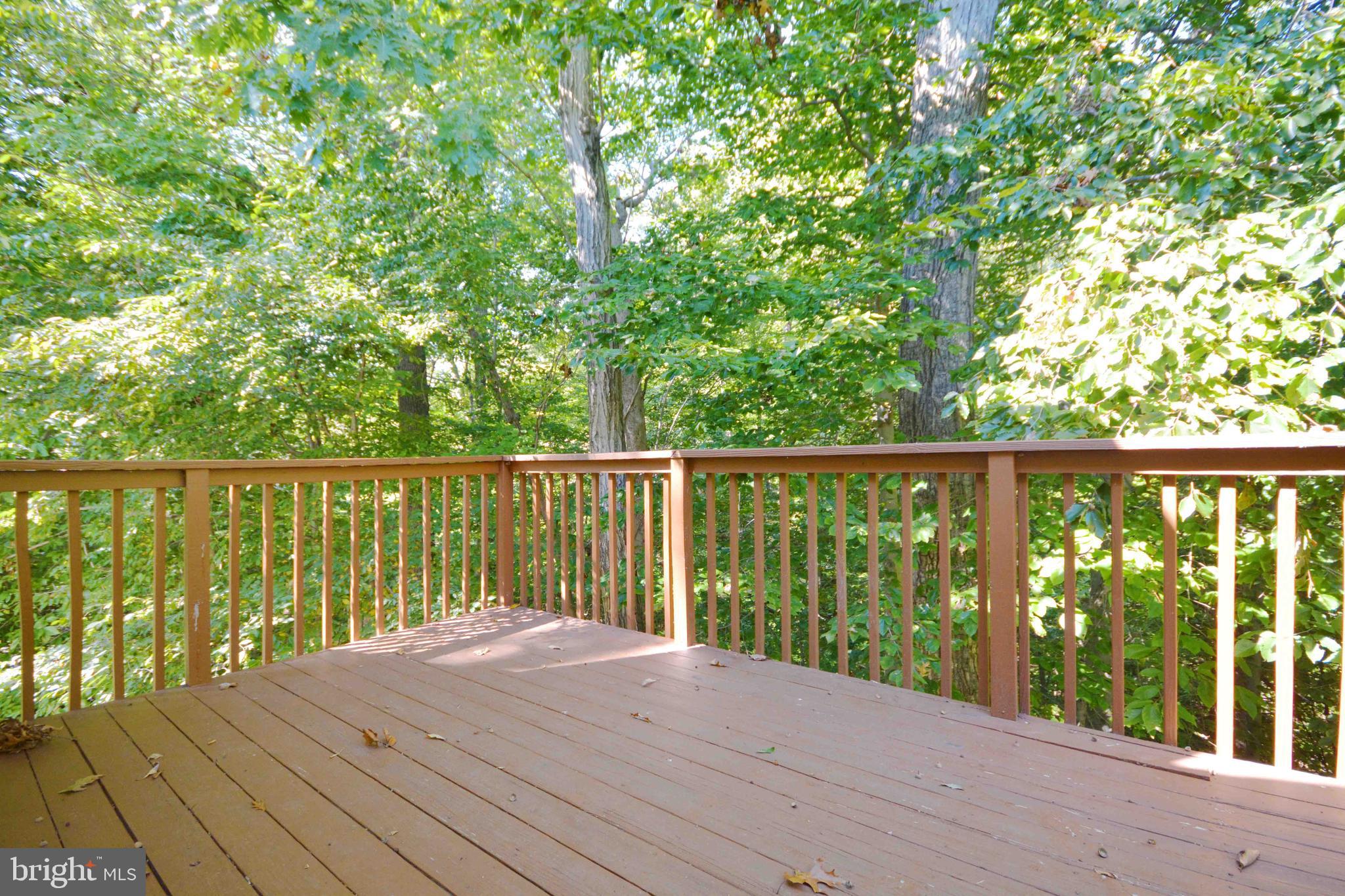 2502 Bollard Road Annapolis, MD 21401 - Photo 14 of 38 Gallery Image 14