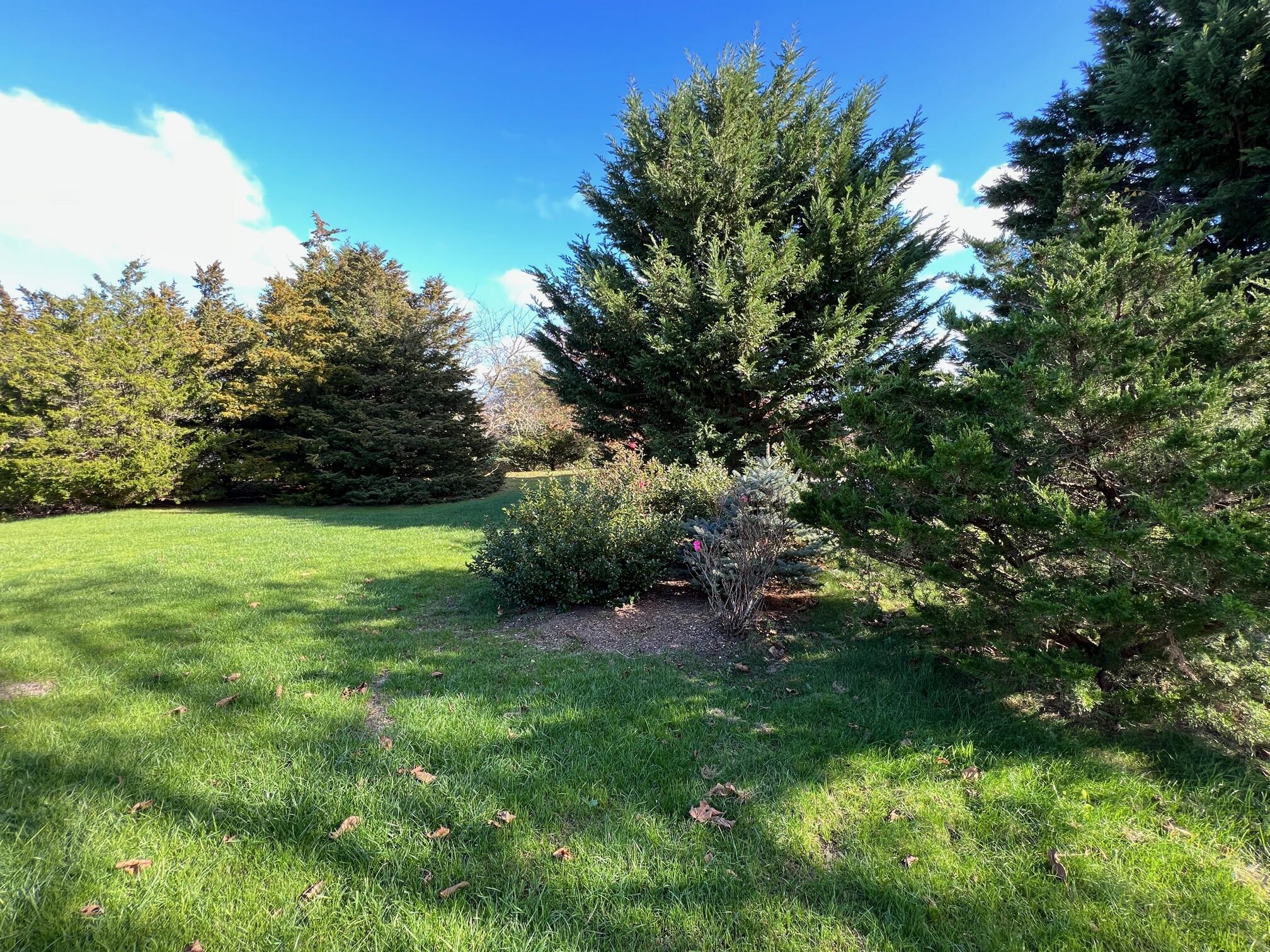 11 Pleasant View Drive Orleans, MA 02653 - Photo 4 of 47 a view of green field with trees in the background