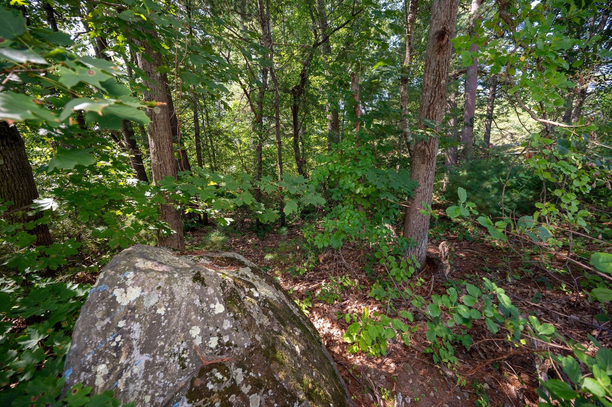 Lot 54 Beverly Road Billerica, MA 01821 - Photo 9 of 28 Gallery Image 9