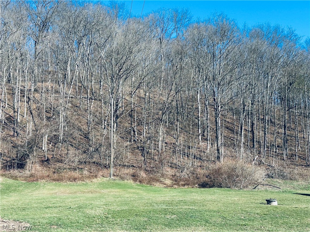 Marietta Road Cumberland, OH 43732 - Photo 5 of 9 View of green lawn