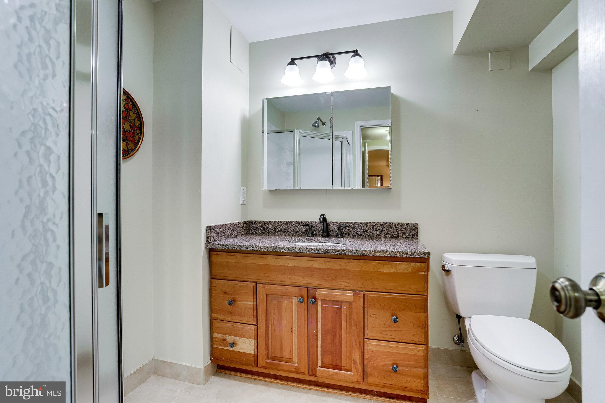 1216 Bishopsgate Way Reston, VA 20194 - Photo 29 of 48 Full Bath in Basement