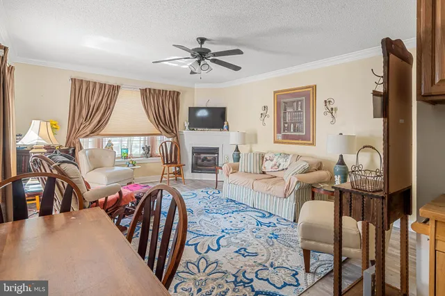 a view of a potted plant in front of a glass door