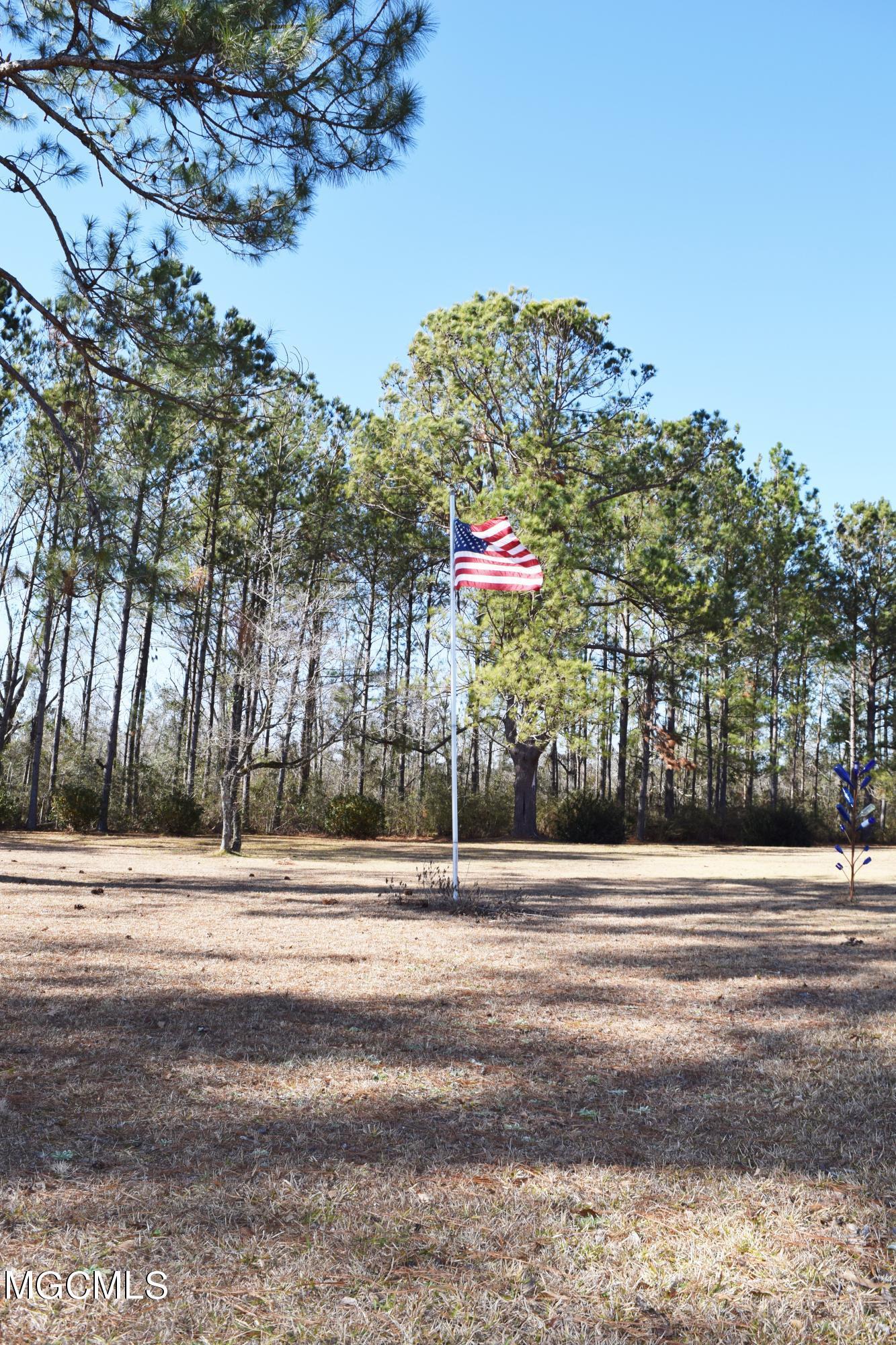 158 Dickerson Road Lucedale, MS 39452 - Photo 28 of 49 DSC_0154