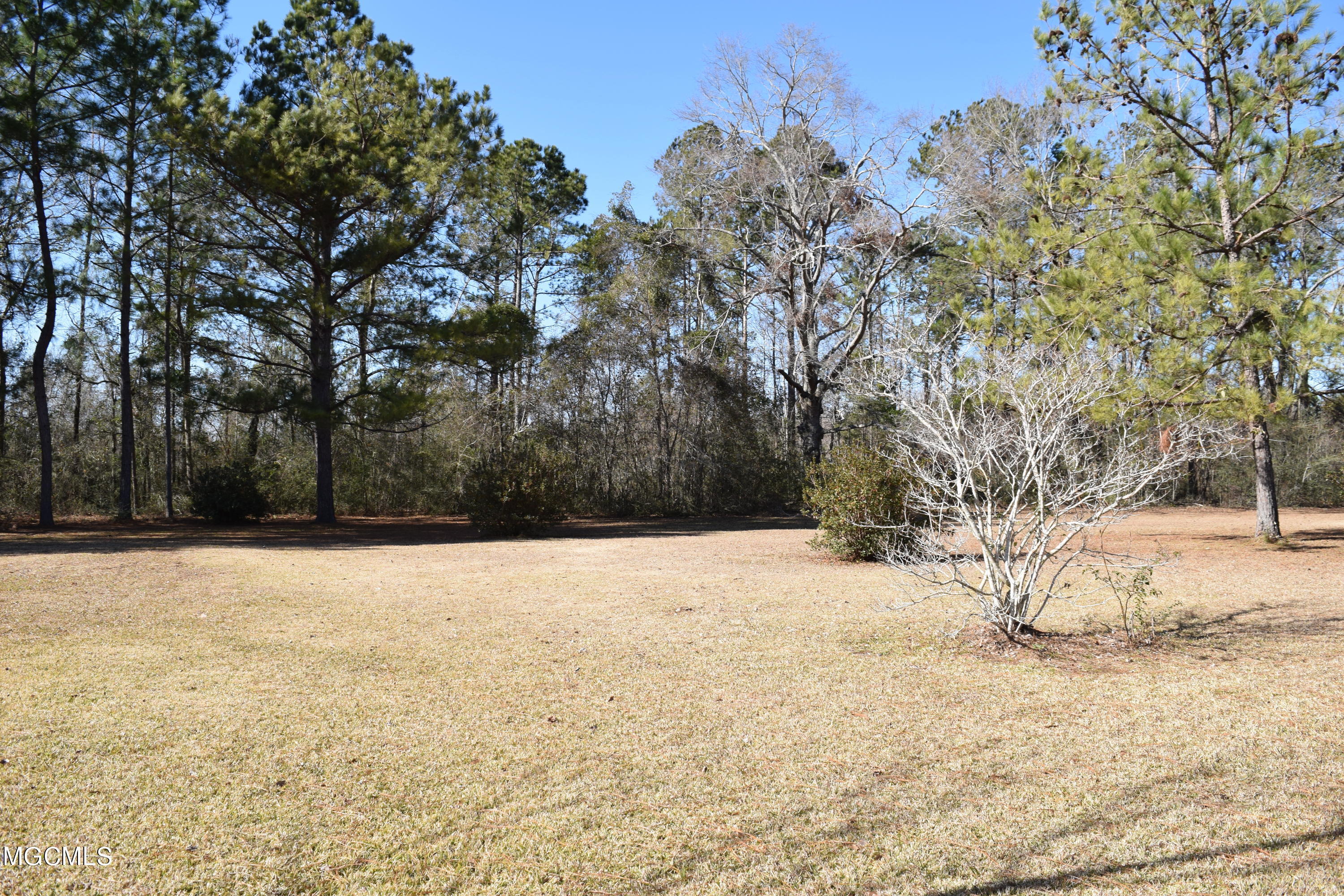158 Dickerson Road Lucedale, MS 39452 - Photo 48 of 49 DSC_0181