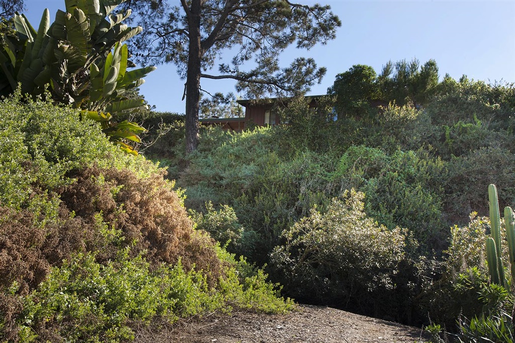 1925 Balboa Avenue Del Mar, CA 92014 - Photo 11 of 23