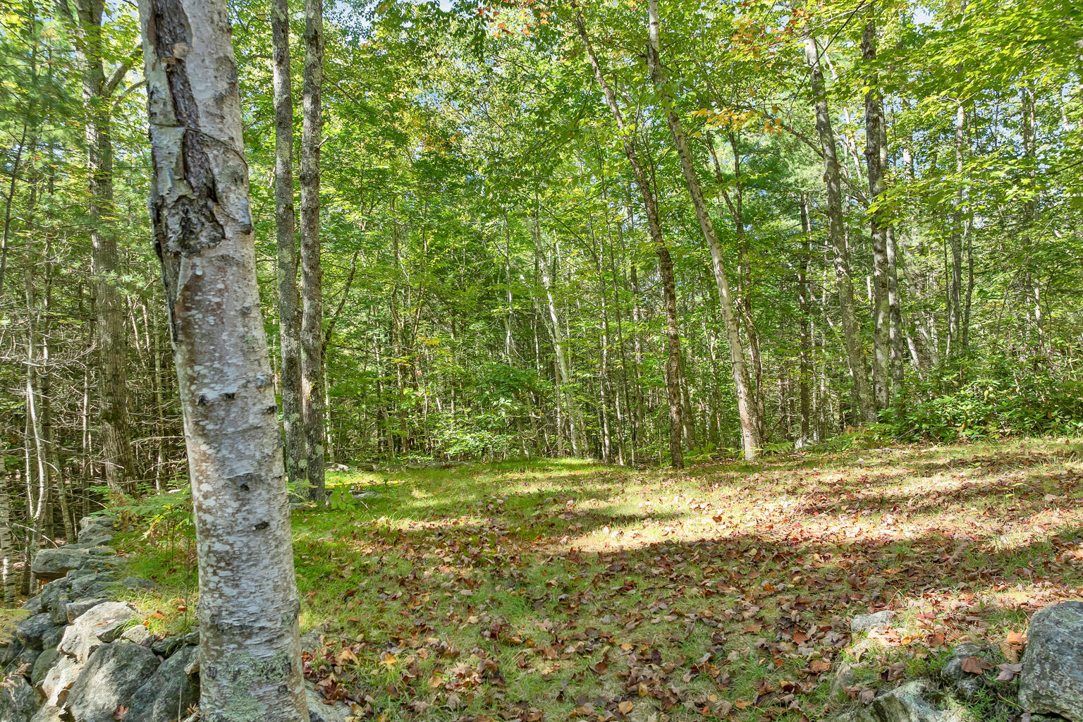 160 Bagley Road Waterboro, ME 04030 - Photo 7 of 44 160BagleyRd-035