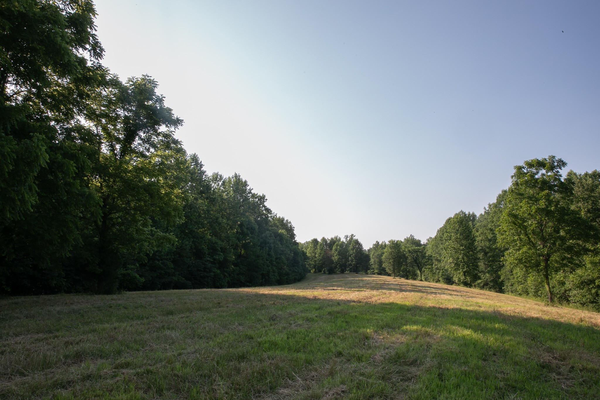 6607 Fox Branch Road Columbia, TN 38401 - Photo 1 of 45 a big yard with lots of green space