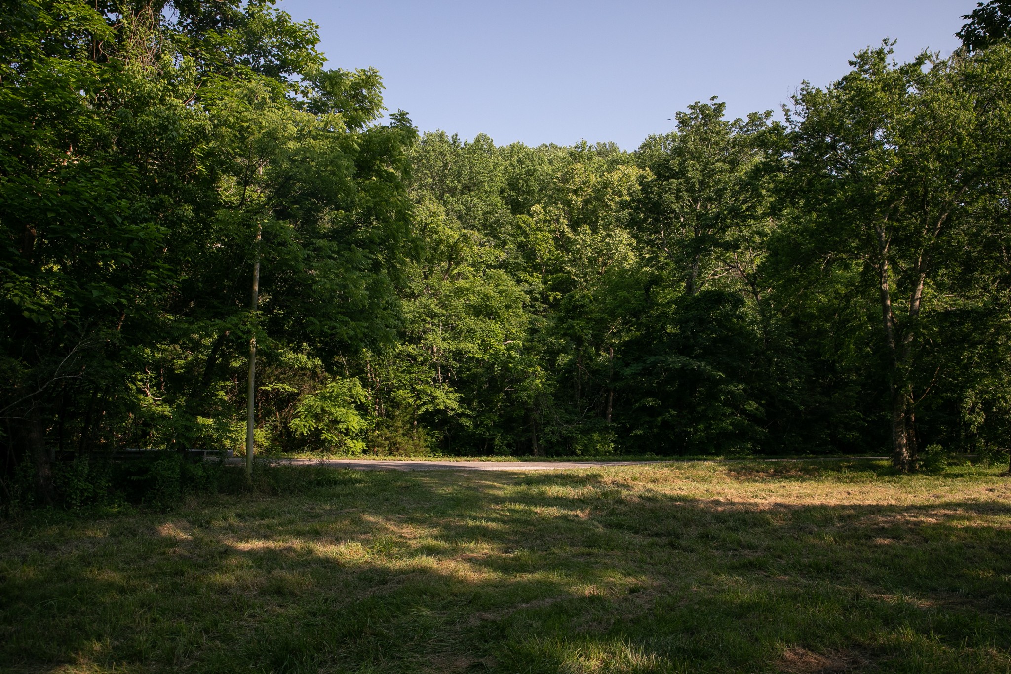 6607 Fox Branch Road Columbia, TN 38401 - Photo 18 of 45 a view of outdoor space