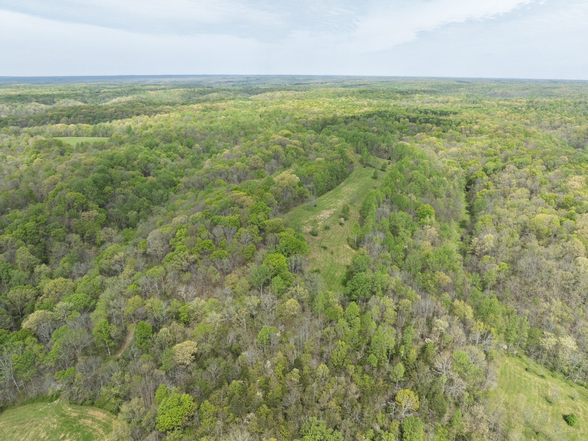 6607 Fox Branch Road Columbia, TN 38401 - Photo 20 of 45 a view of a field with an outdoor space