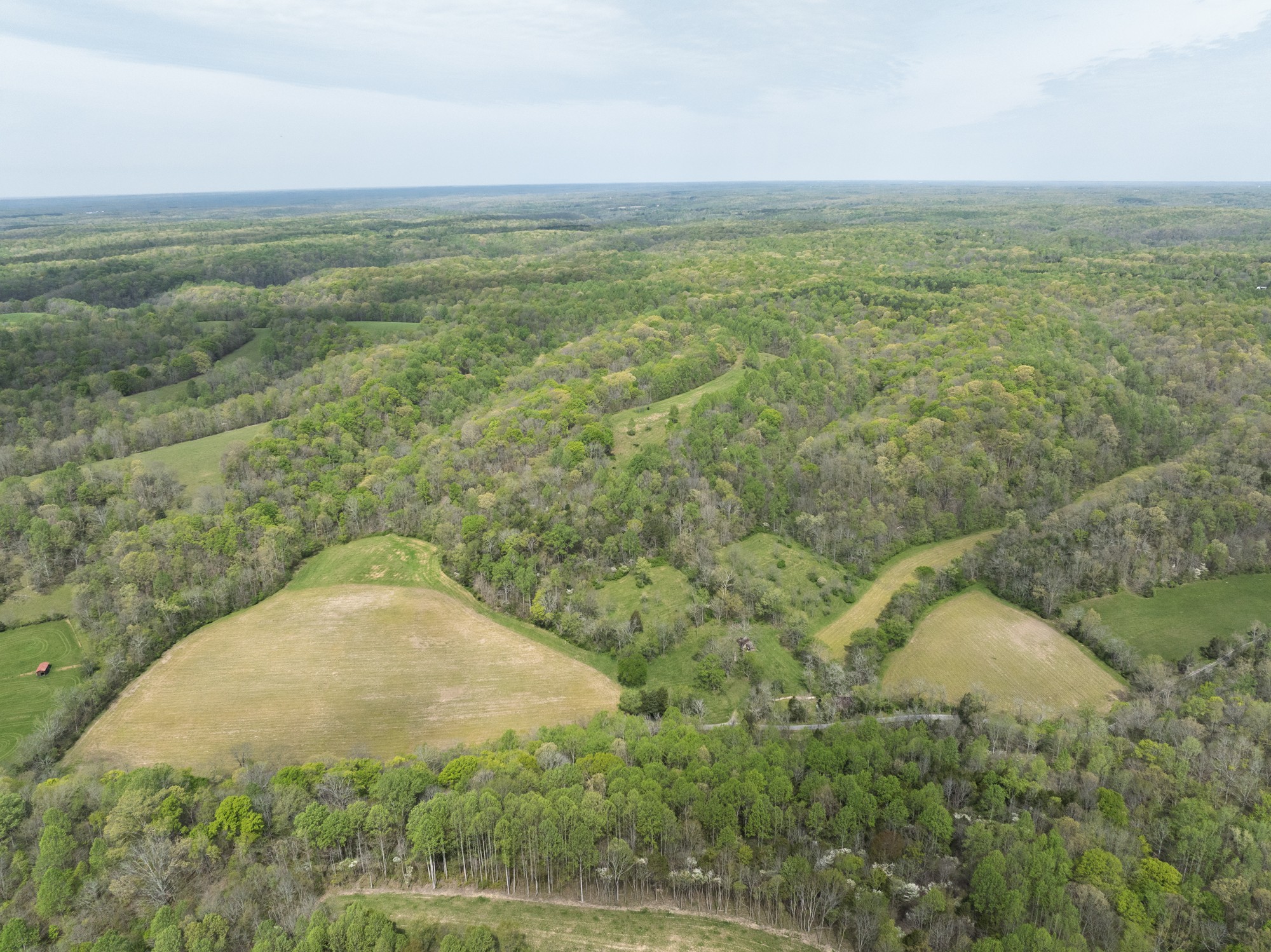 6607 Fox Branch Road Columbia, TN 38401 - Photo 21 of 45 a view of a field with an ocean view