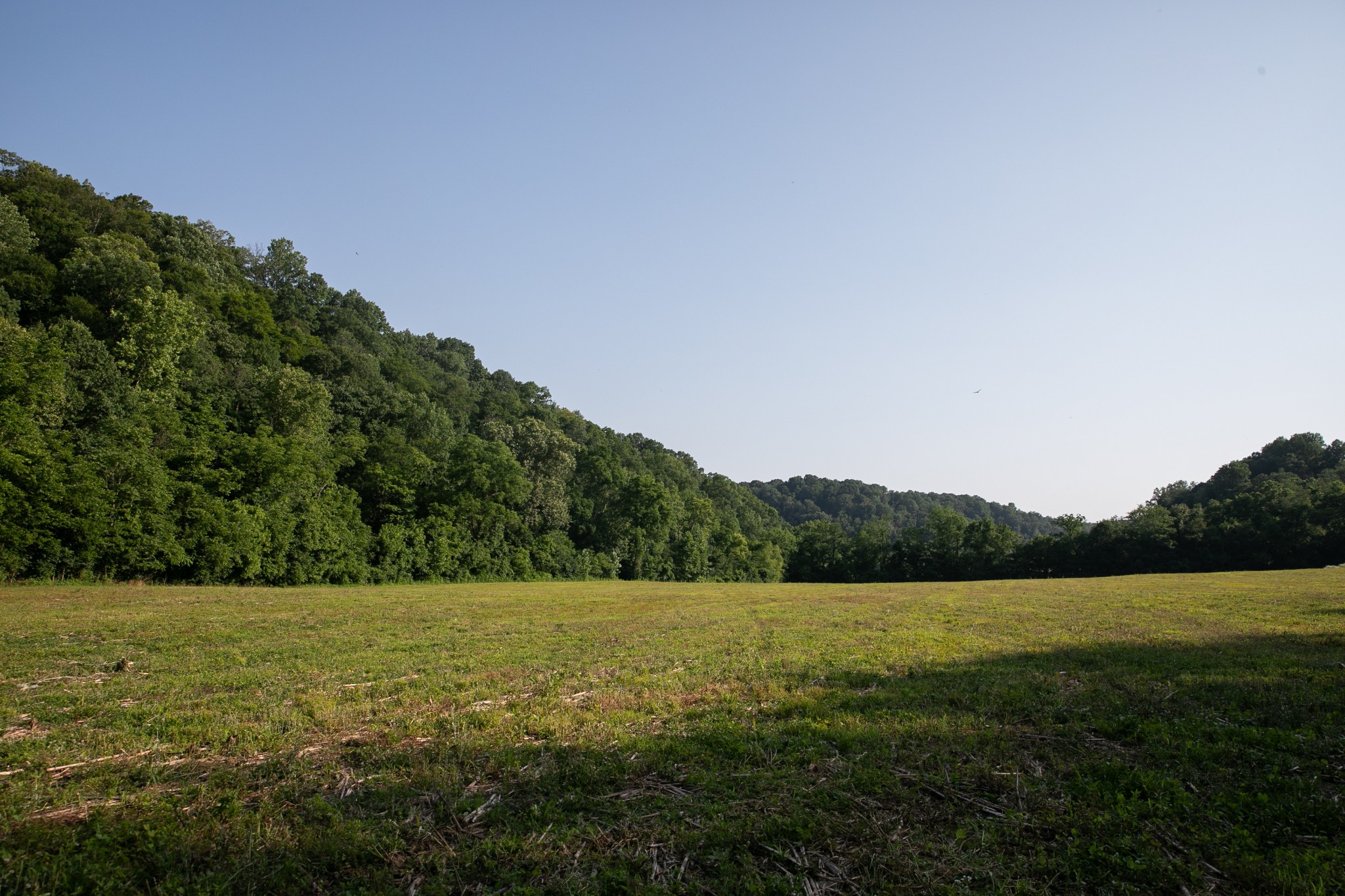 6607 Fox Branch Road Columbia, TN 38401 - Photo 23 of 45 a view of a lake with a yard