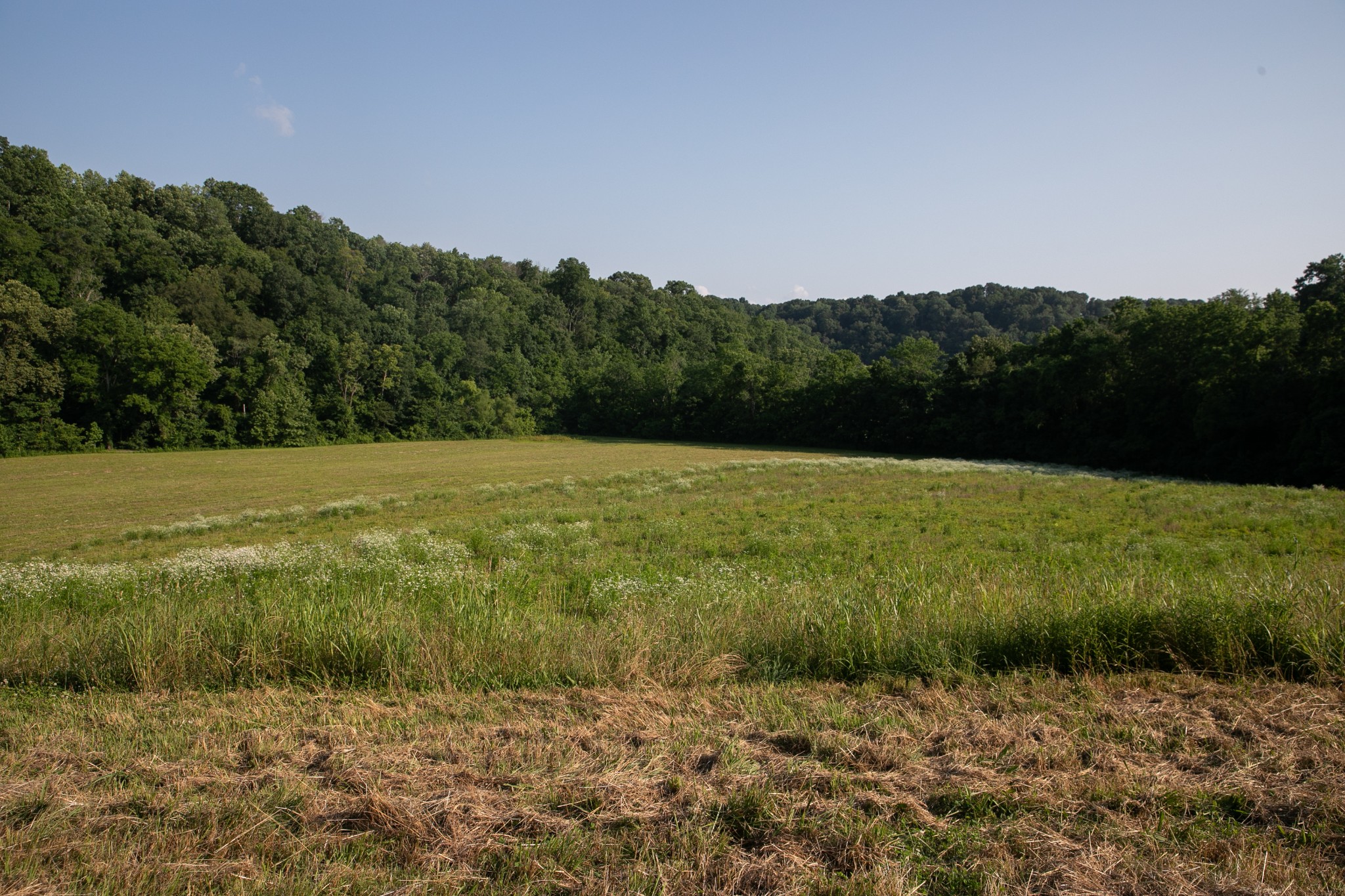6607 Fox Branch Road Columbia, TN 38401 - Photo 24 of 45 a view of yard with ocean view