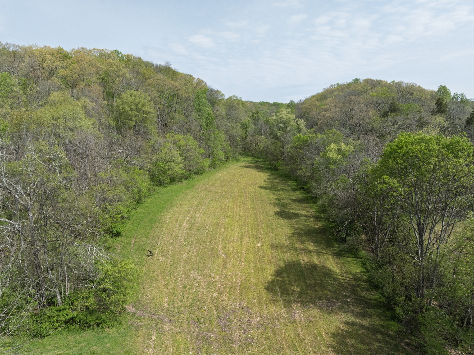 6607 Fox Branch Road Columbia, TN 38401 - Photo 25 of 45 a view of a mountain view with mountains in the background