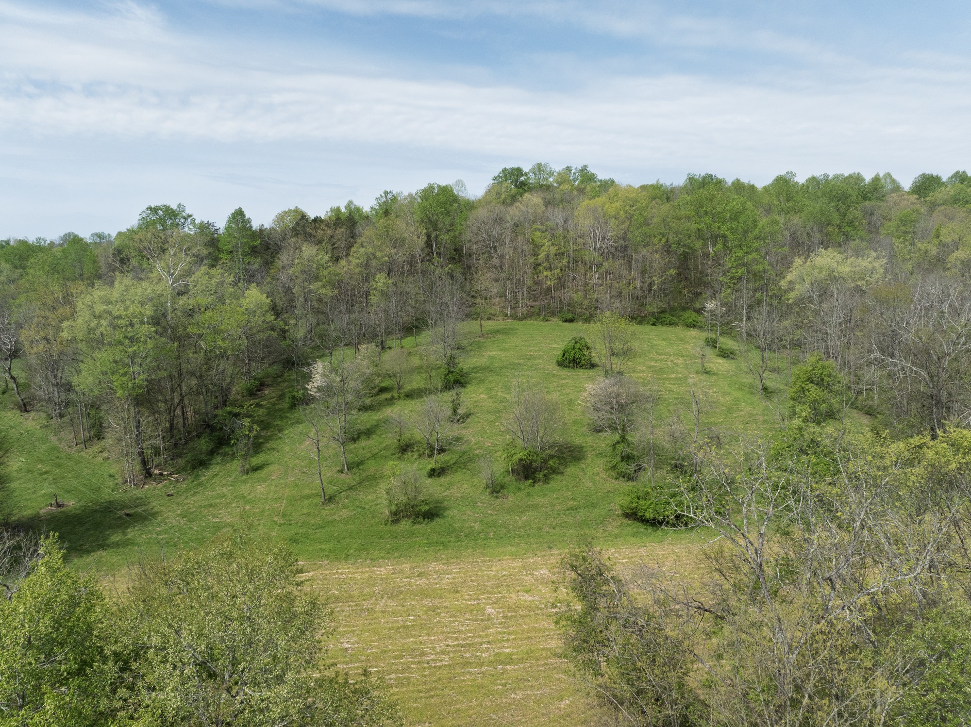 6607 Fox Branch Road Columbia, TN 38401 - Photo 26 of 45 a view of a field of grass and trees