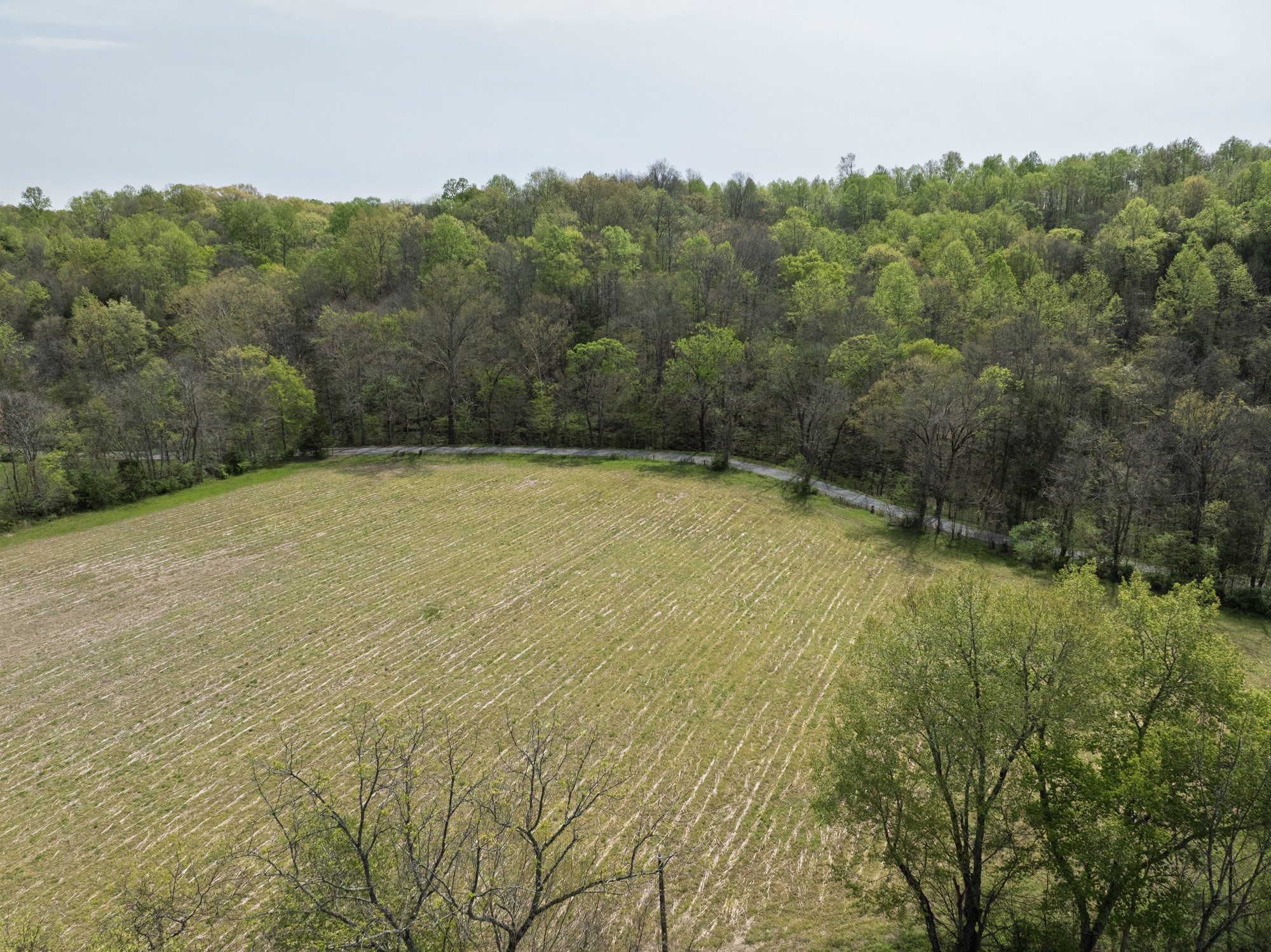 6607 Fox Branch Road Columbia, TN 38401 - Photo 31 of 45 a view of an outdoor space and a yard