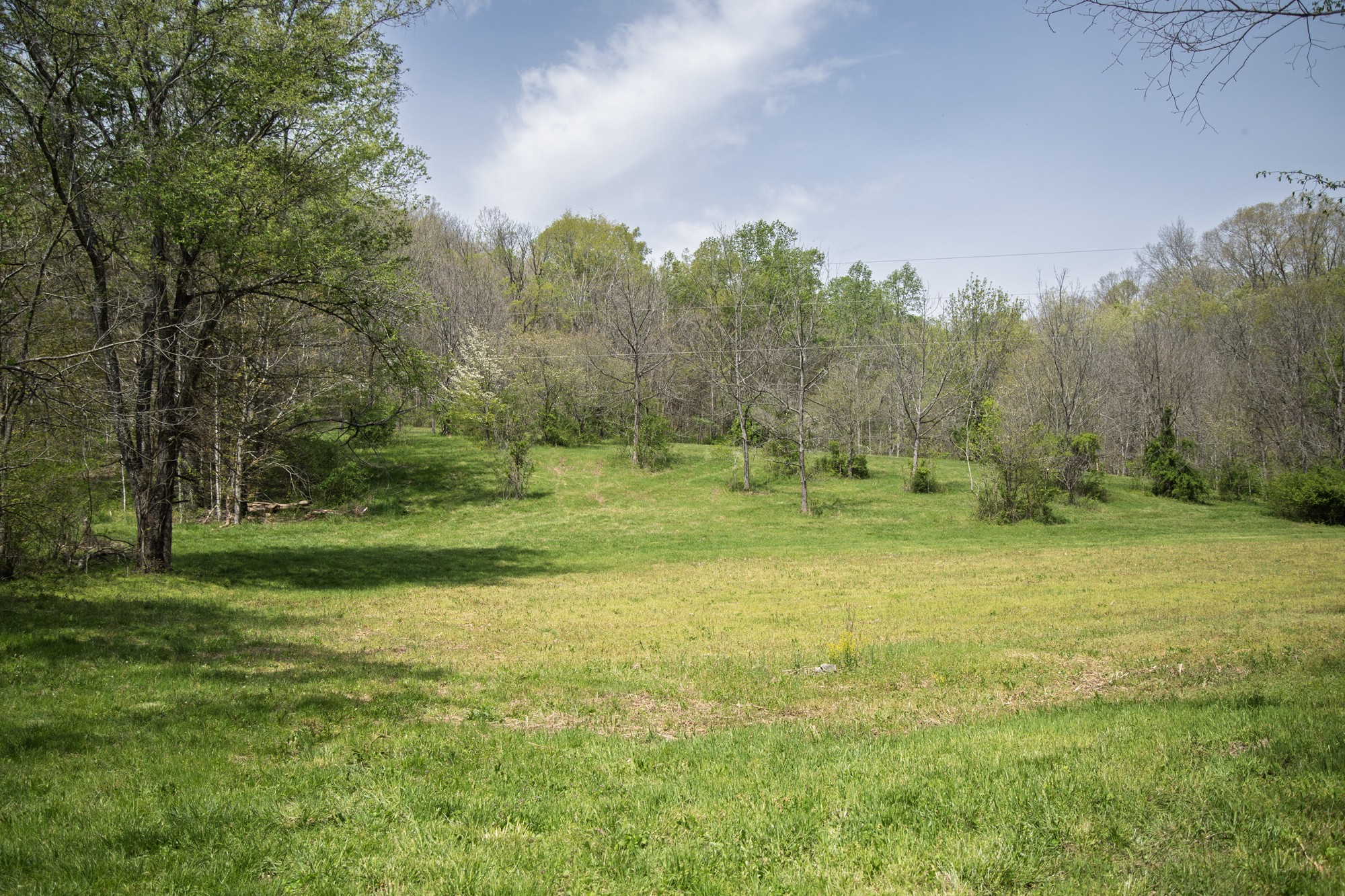 6607 Fox Branch Road Columbia, TN 38401 - Photo 33 of 45 a view of a grassy field with trees