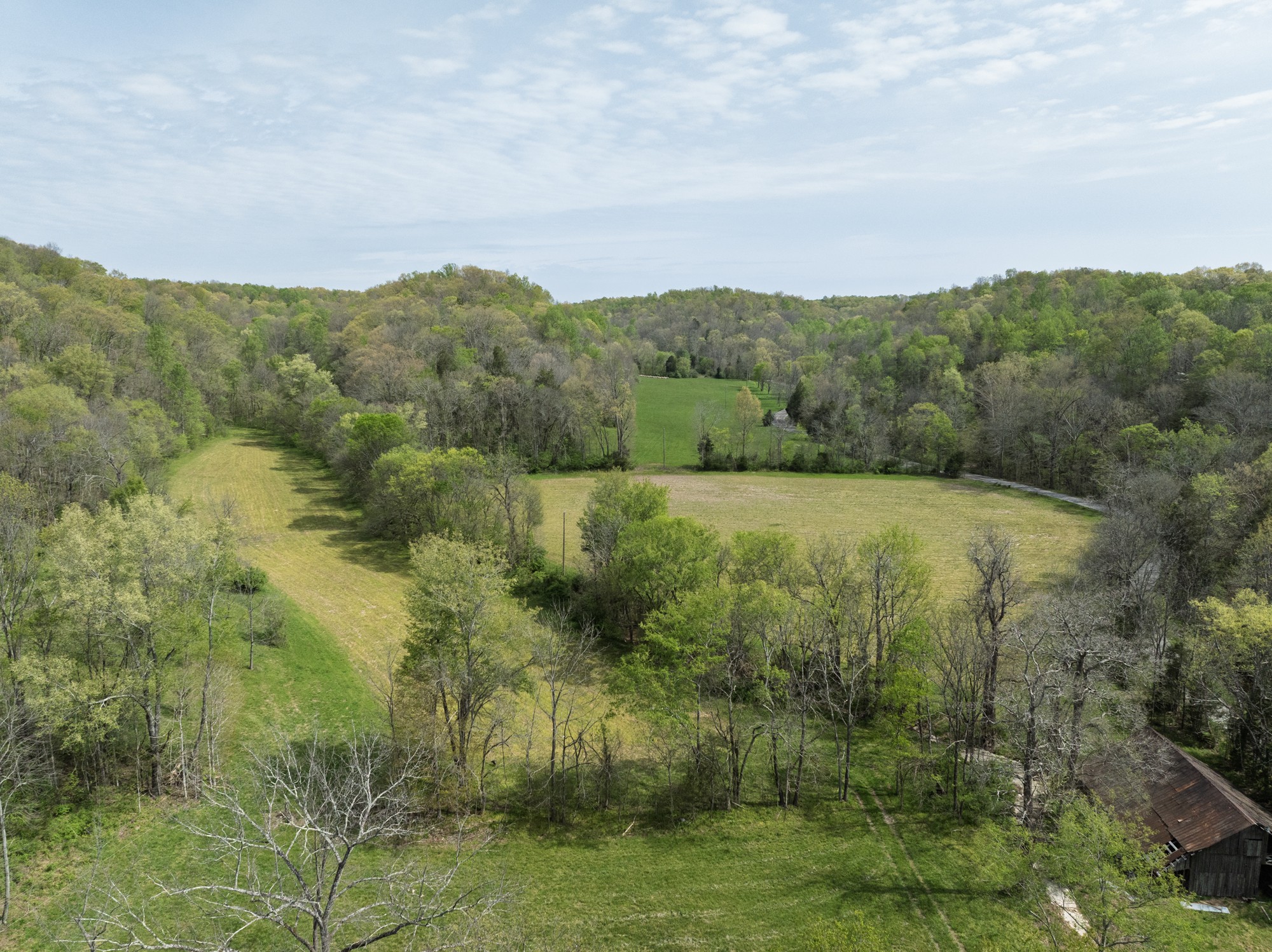 6607 Fox Branch Road Columbia, TN 38401 - Photo 34 of 45 a view of a green field