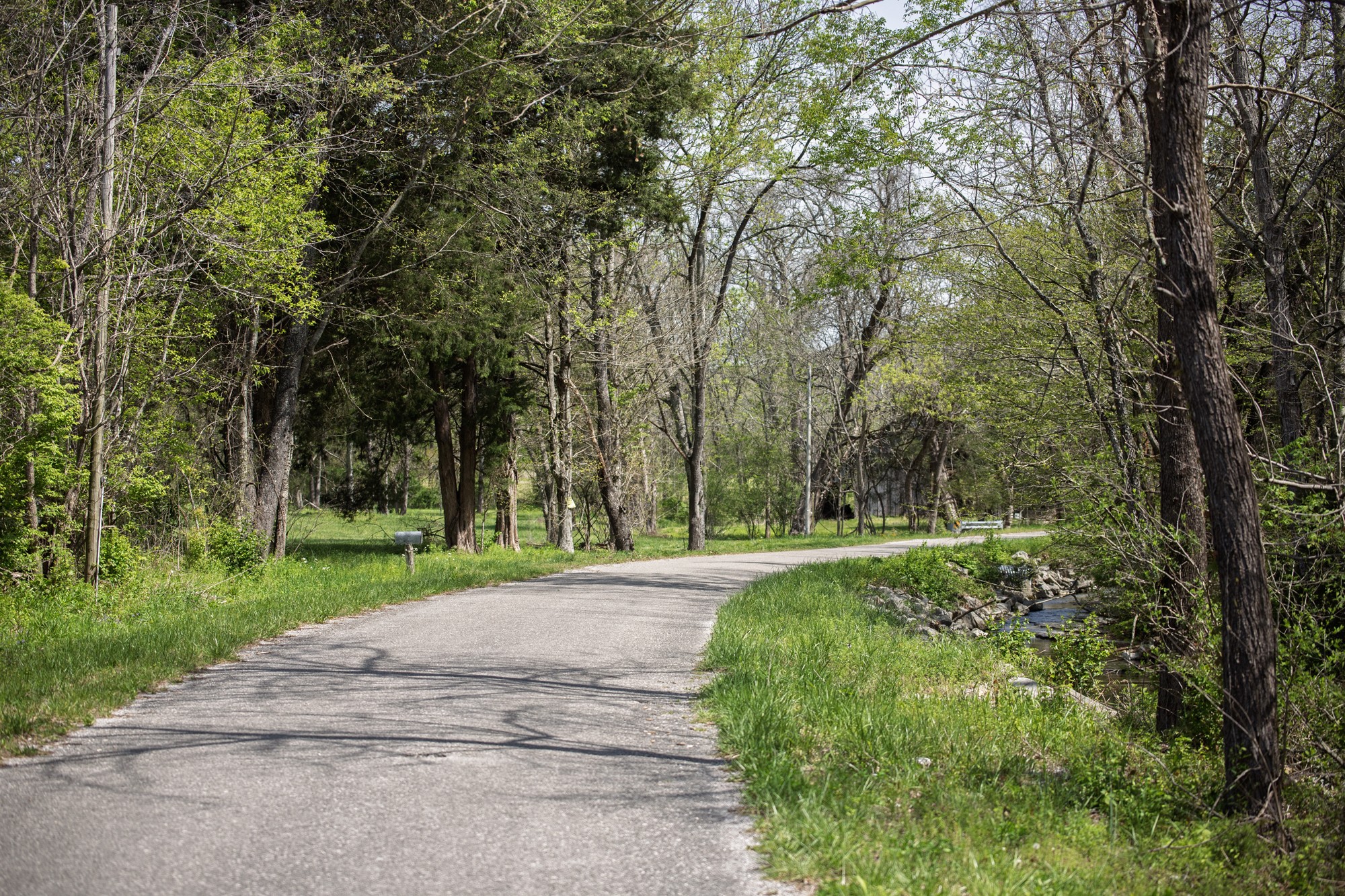 6607 Fox Branch Road Columbia, TN 38401 - Photo 35 of 45 a view of a park with large trees