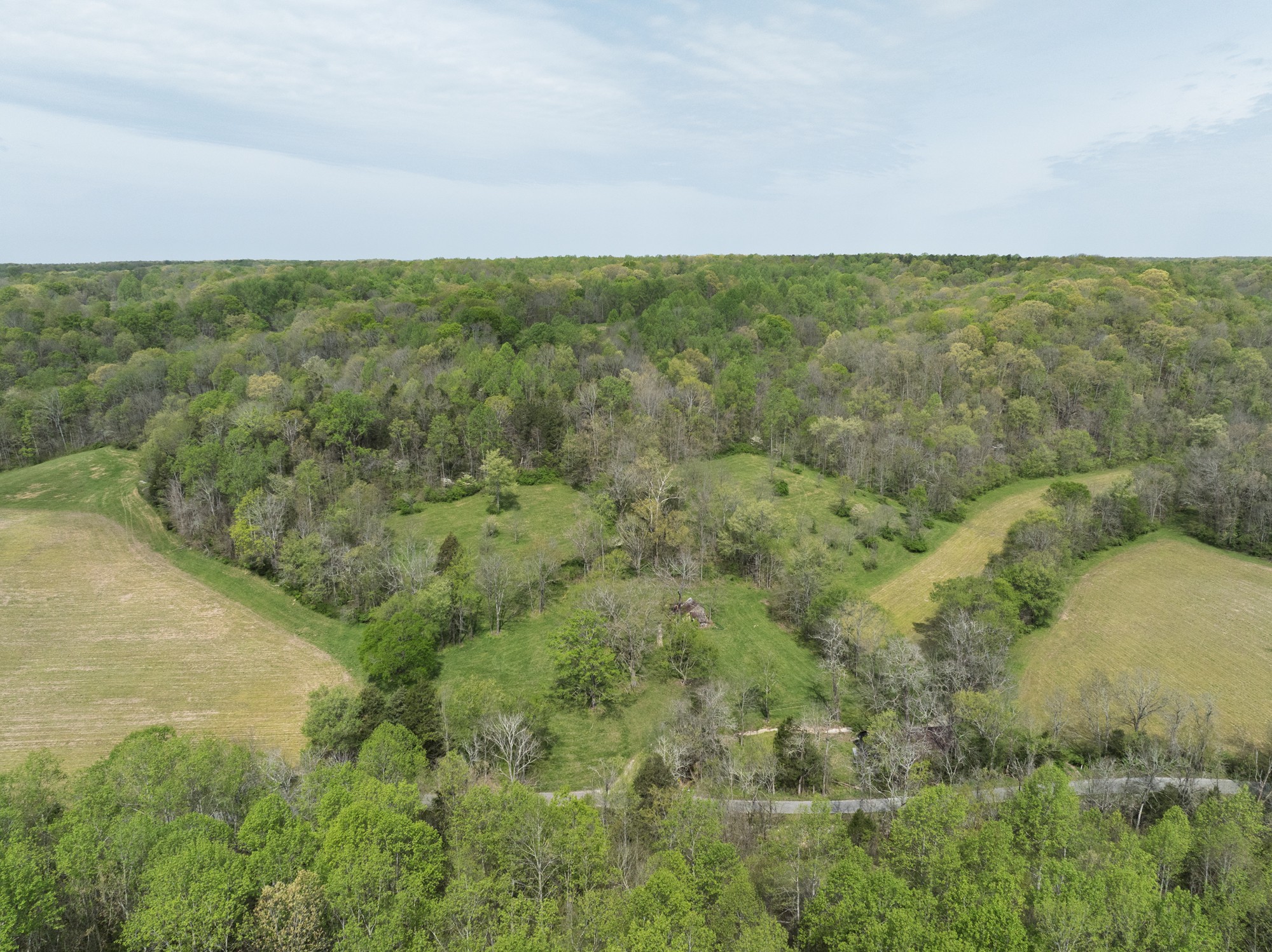 6607 Fox Branch Road Columbia, TN 38401 - Photo 36 of 45 a view of a field with an ocean